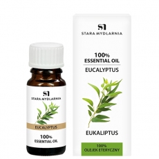 Eukaliptus / Eucalyptus
